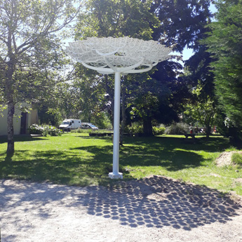 La ronde des ombelles