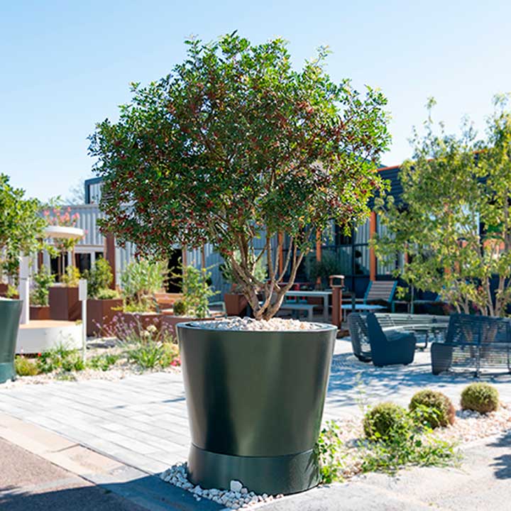 jardinière urbaine géante