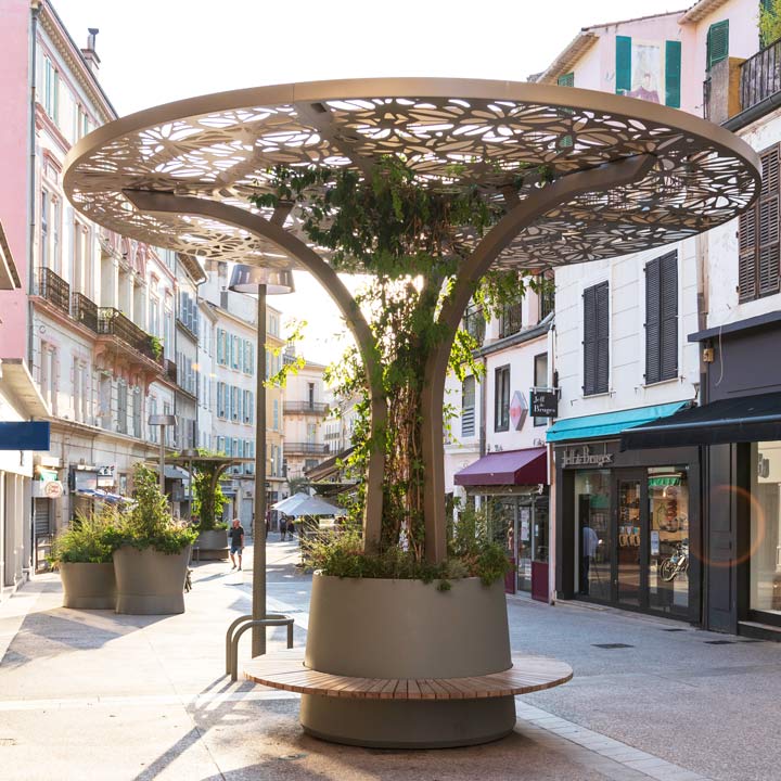 Green canopy Hyeres