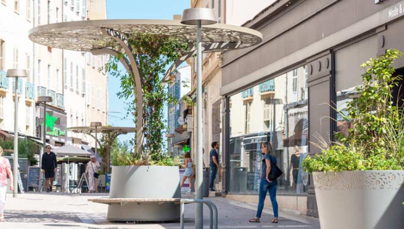 Quelles solutions pour végétaliser la ville ?